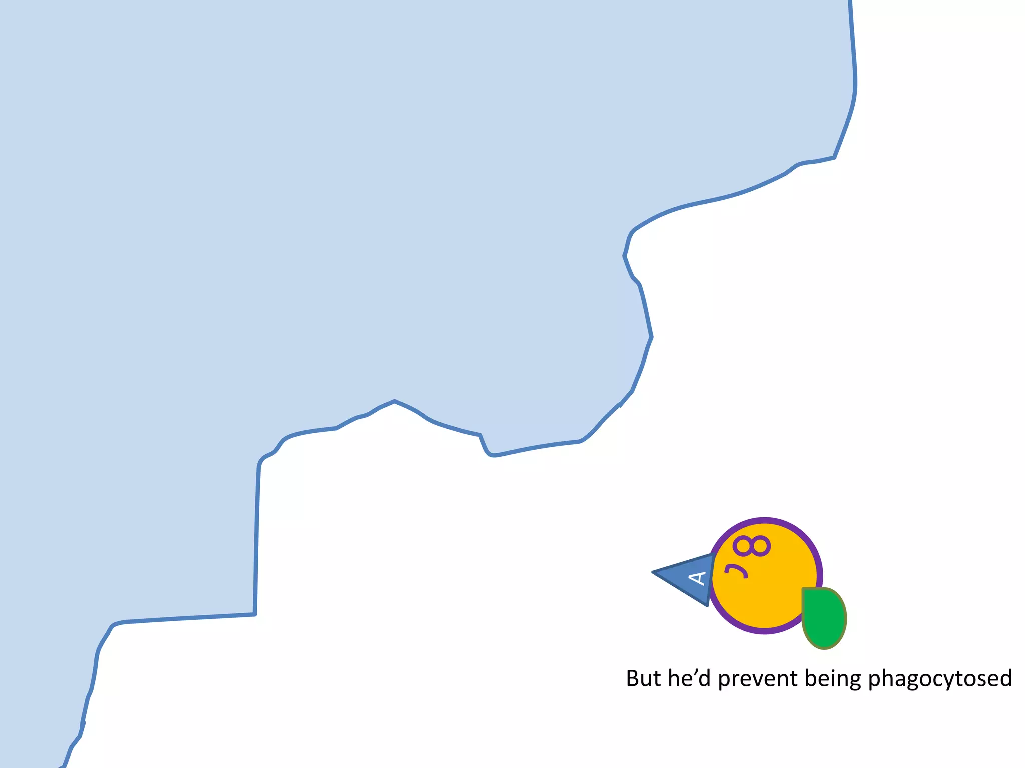 But he’d prevent being phagocytosed
 