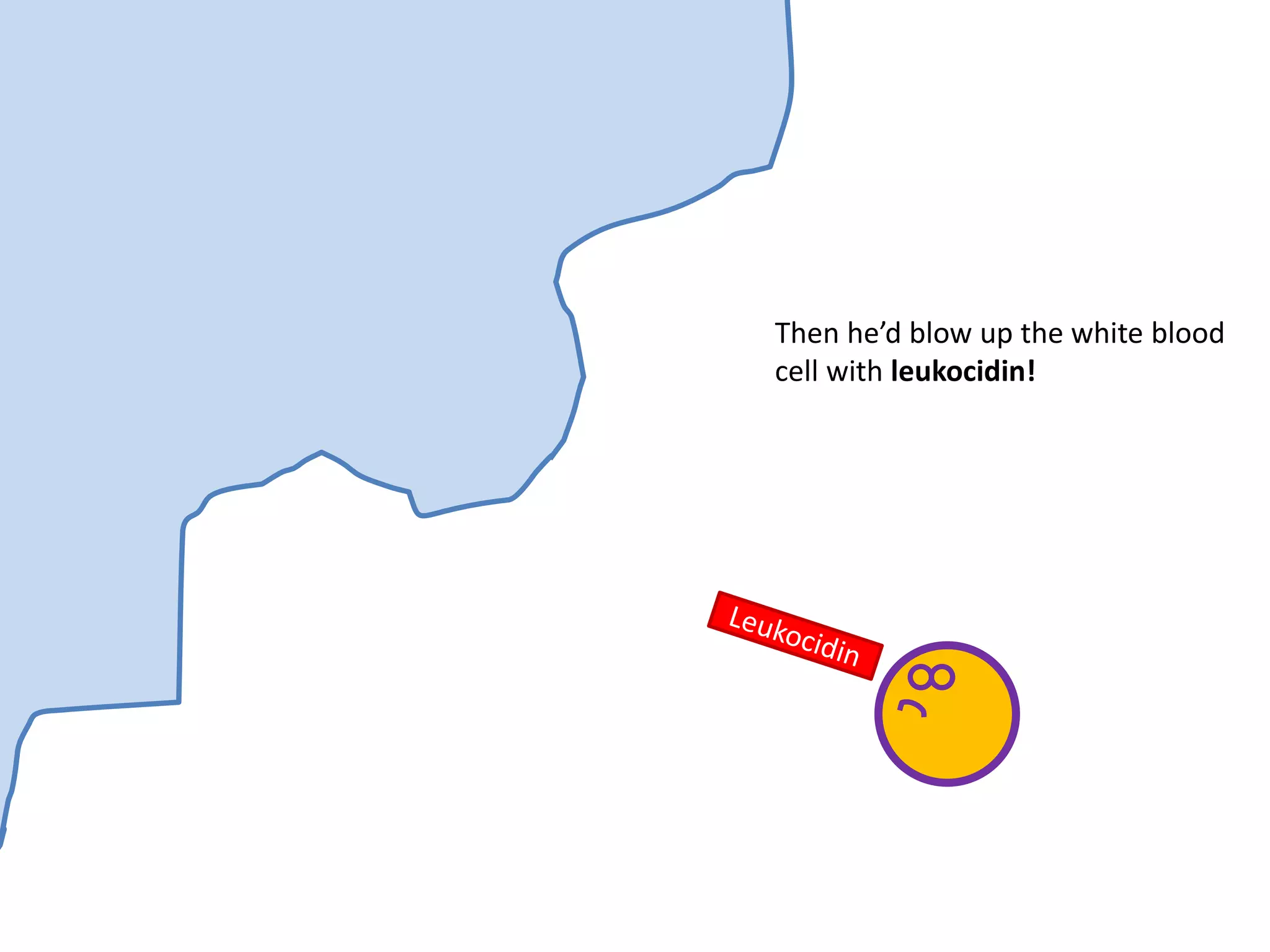 Then he’d blow up the white blood
cell with leukocidin!
 