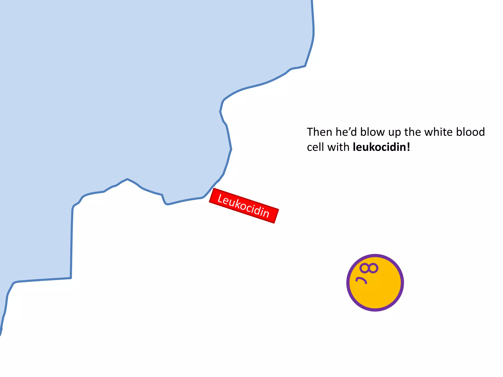 Then he’d blow up the white blood
cell with leukocidin!
 