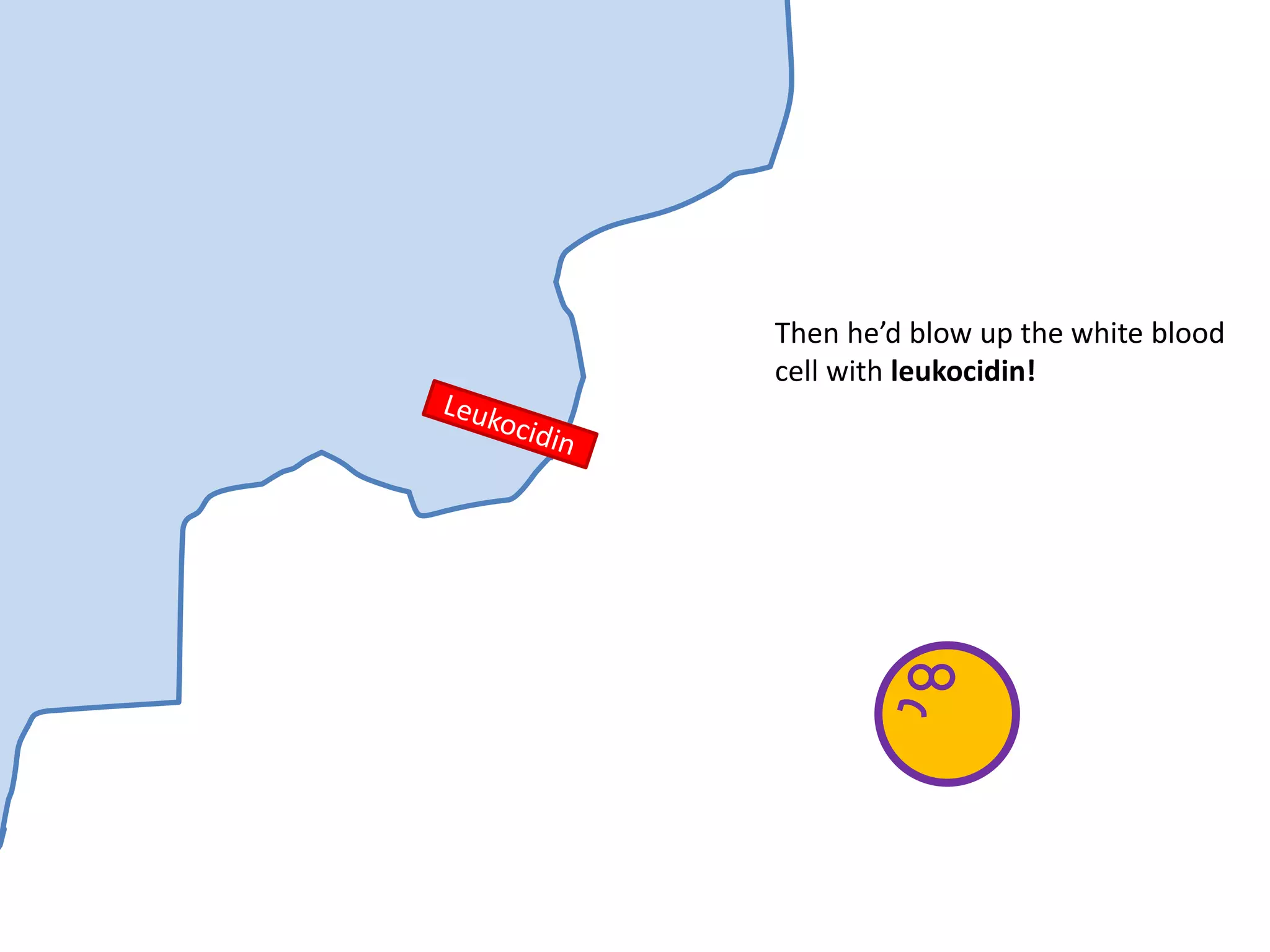Then he’d blow up the white blood
cell with leukocidin!
 