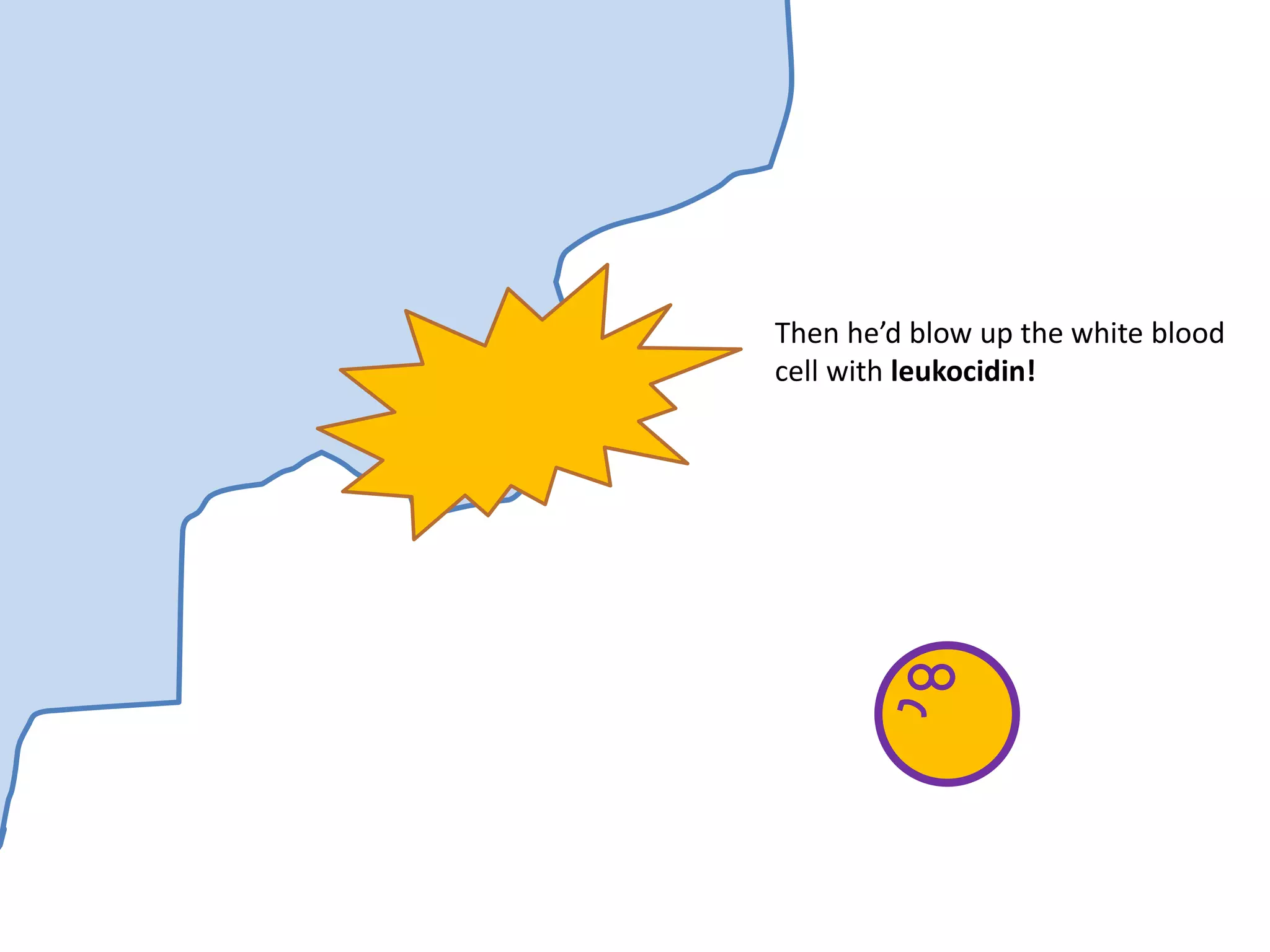 Then he’d blow up the white blood
cell with leukocidin!
 