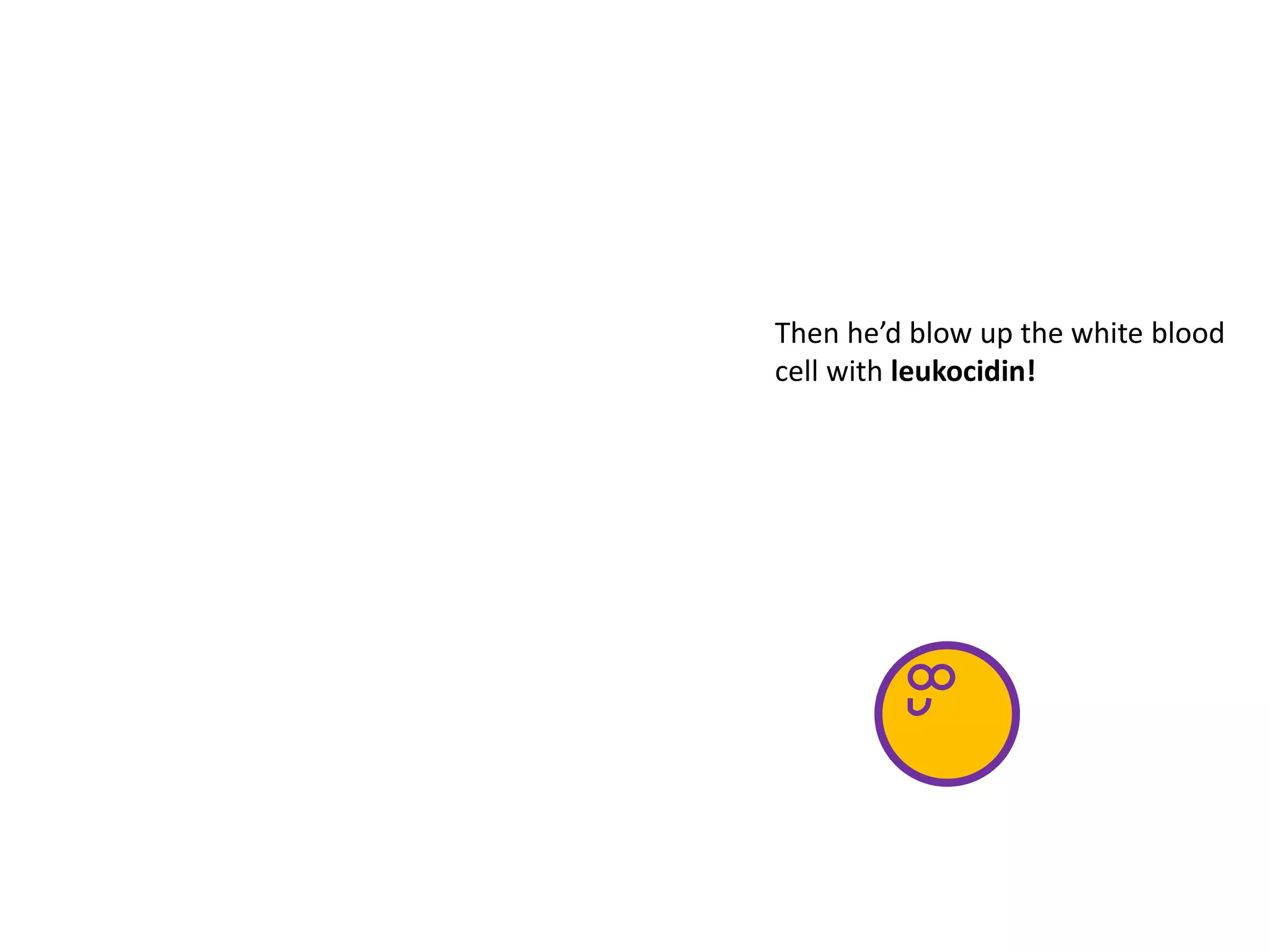 Then he’d blow up the white blood
cell with leukocidin!
 