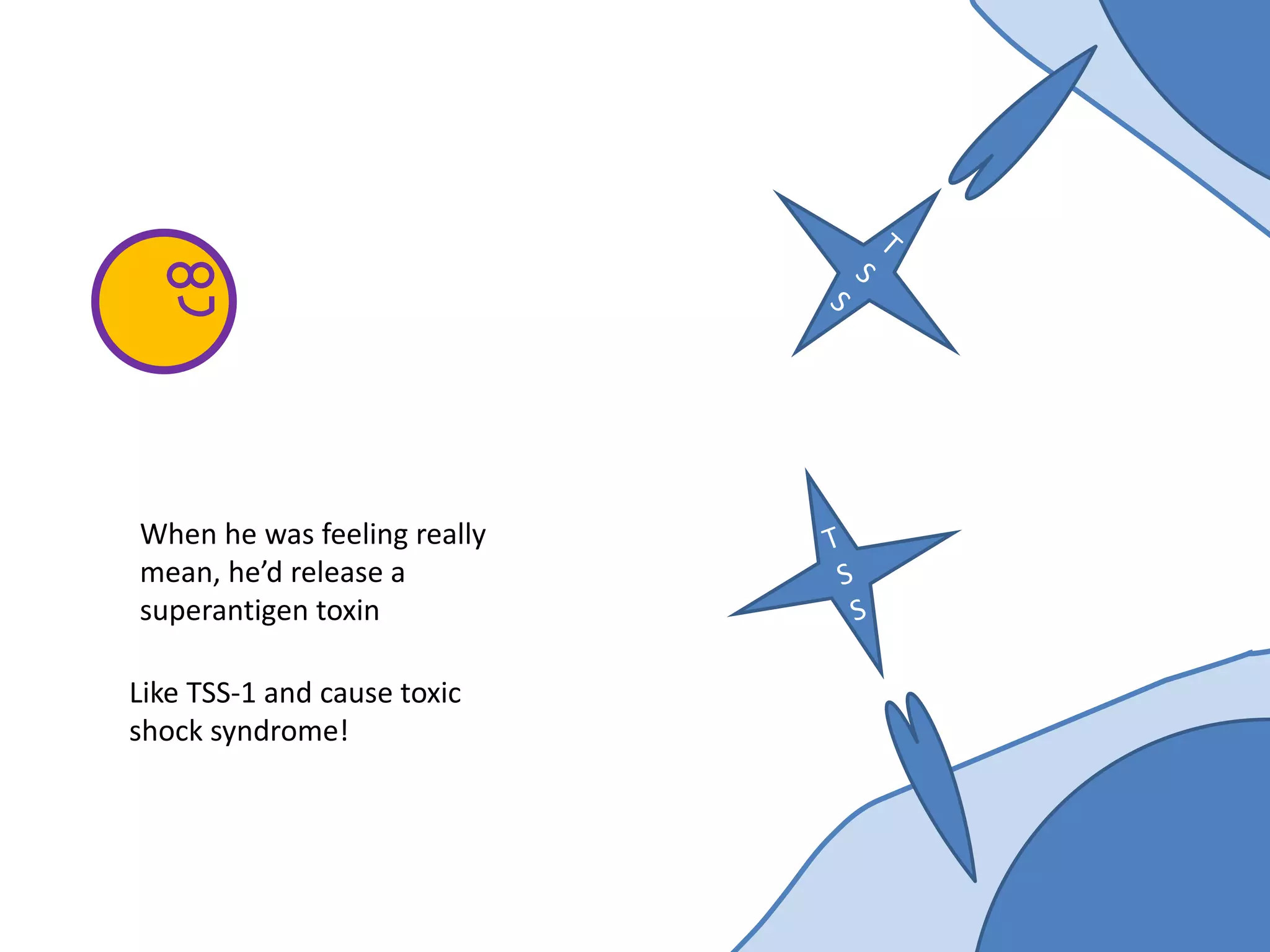 When he was feeling really
mean, he’d release a
superantigen toxin
Like TSS-1 and cause toxic
shock syndrome!
 