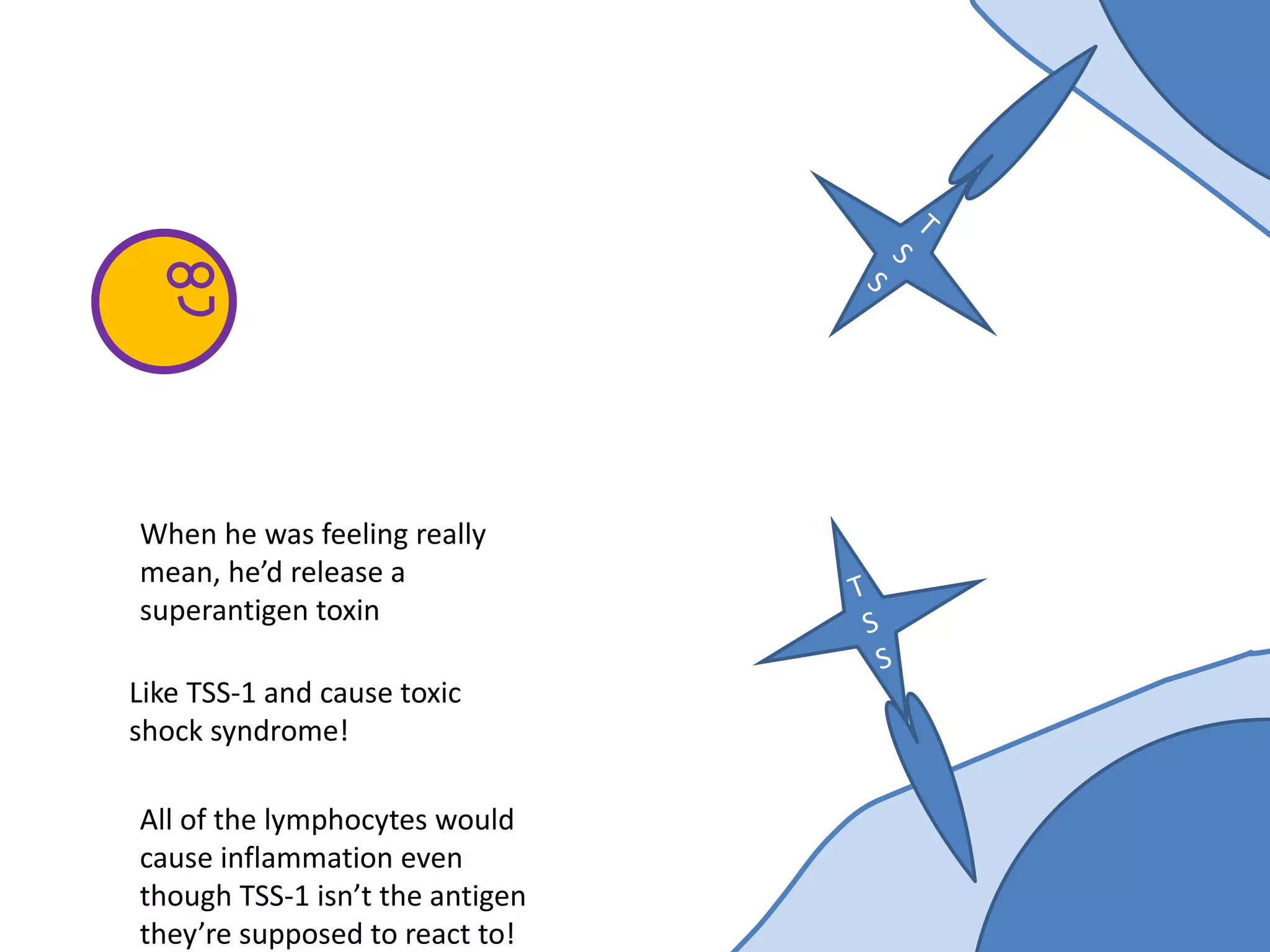 When he was feeling really
mean, he’d release a
superantigen toxin
Like TSS-1 and cause toxic
shock syndrome!
All of the lymphocytes would
cause inflammation even
though TSS-1 isn’t the antigen
they’re supposed to react to!
 