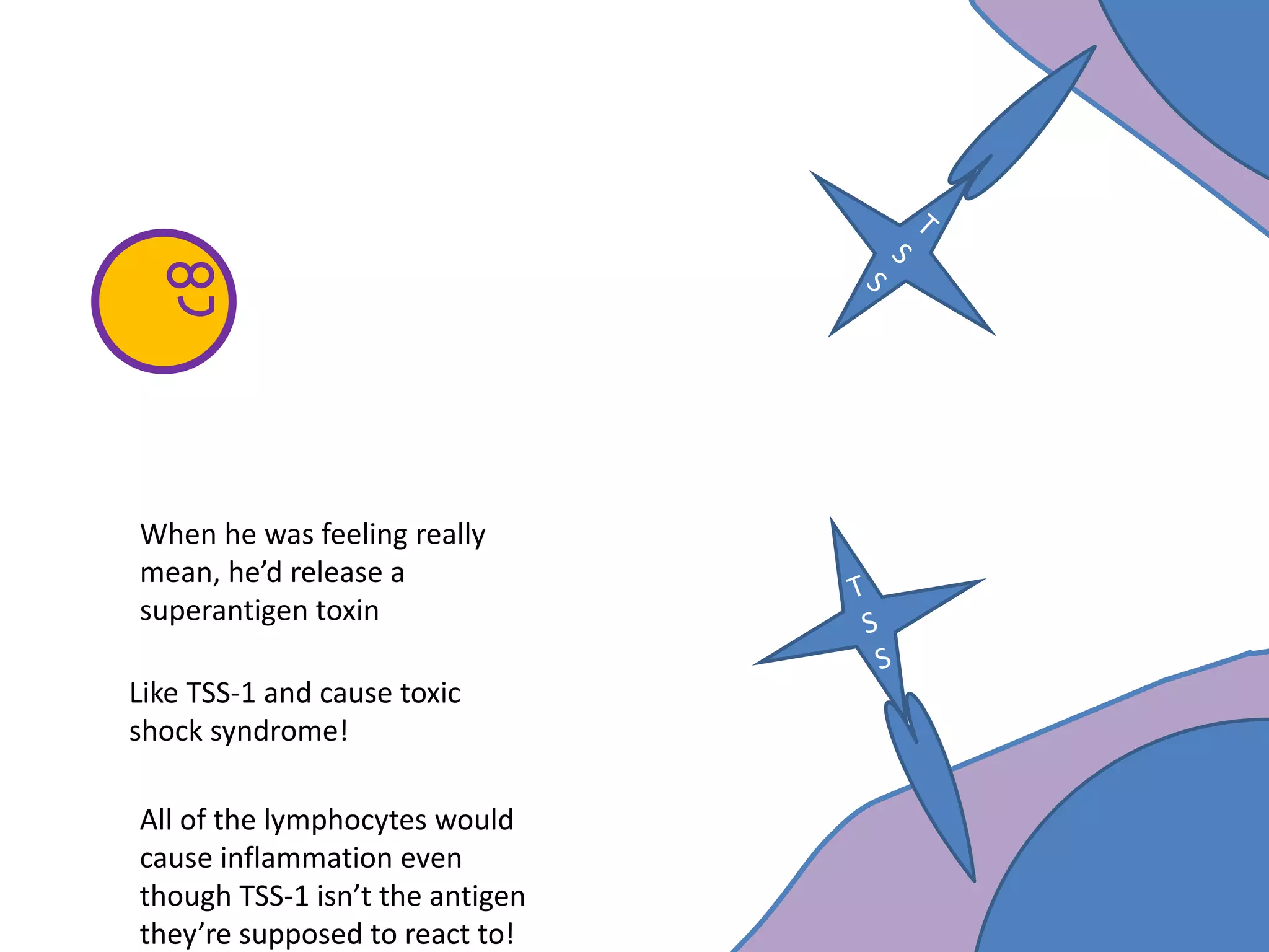 When he was feeling really
mean, he’d release a
superantigen toxin
Like TSS-1 and cause toxic
shock syndrome!
All of the lymphocytes would
cause inflammation even
though TSS-1 isn’t the antigen
they’re supposed to react to!
 