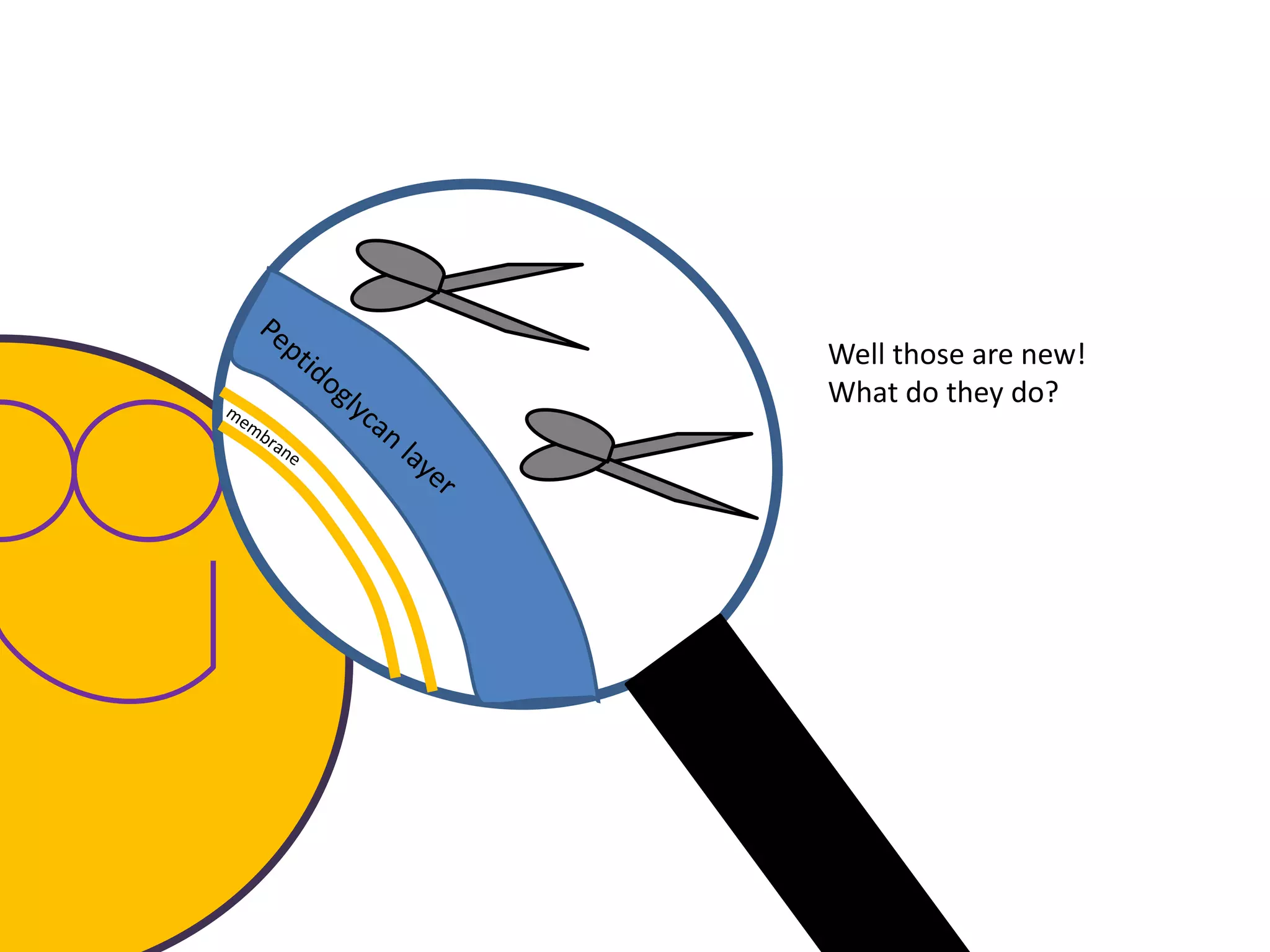 Well those are new!
What do they do?
 