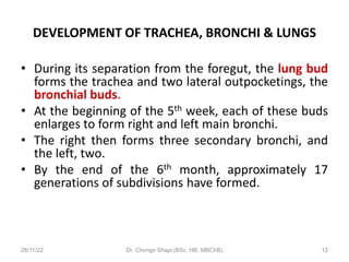 DEVELOPMENT OF RESPIRATORY SYSTEM by Shapi. MD.pdf