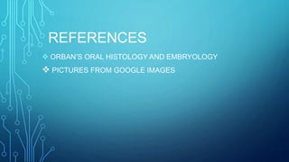 REFERENCES
 ORBAN’S ORAL HISTOLOGY AND EMBRYOLOGY
 PICTURES FROM GOOGLE IMAGES
 