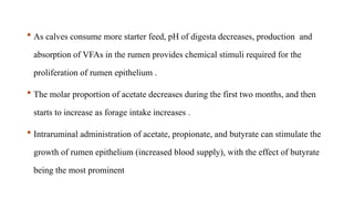  As calves consume more starter feed, pH of digesta decreases, production and
absorption of VFAs in the rumen provides chemical stimuli required for the
proliferation of rumen epithelium .
 The molar proportion of acetate decreases during the first two months, and then
starts to increase as forage intake increases .
 Intraruminal administration of acetate, propionate, and butyrate can stimulate the
growth of rumen epithelium (increased blood supply), with the effect of butyrate
being the most prominent
 