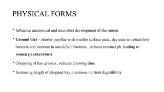 PHYSICAL FORMS
 Influence anatomical and microbial development of the rumen
 Ground diet – shorter papillae with smaller surface area , decrease in cellulolytic
bacteria and increase in amylolytic bacteria , reduces ruminal ph. leading to
rumen parakeratosis
 Chopping of hay grasses , reduces chewing time
 Increasing length of chopped hay ,increases nutrient digestibility
 