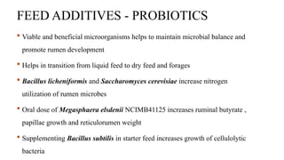 FEED ADDITIVES - PROBIOTICS
 Viable and beneficial microorganisms helps to maintain microbial balance and
promote rumen development
 Helps in transition from liquid feed to dry feed and forages
 Bacillus licheniformis and Saccharomyces cerevisiae increase nitrogen
utilization of rumen microbes
 Oral dose of Megasphaera elsdenii NCIMB41125 increases ruminal butyrate ,
papillae growth and reticulorumen weight
 Supplementing Bacillus subtilis in starter feed increases growth of cellulolytic
bacteria
 