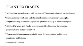 PLANT EXTRACTS
 Adding Aloe barbadensis to milk increases VFA concentration and bacterial count
 Supplementing Mulberry leaf flavonoids in mixed ration increases alpha
amylase activity in ruminal digesta and protease activity in abomasal digesta
 Adding Caraway and Garlic in concentrated feed improve fermentation
parameters and increase total VFA
 Thyme and cinnamon essential oils show decrease acetate and increase
propionate and butyrate
 Prevent calf diarrhea
 