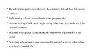  The colonization pattern varies between those naturally fed and those fed on milk
replacers
 Early weaning reduced protozoal and methanogen population
 Intensive feeding of milk or milk replacer may delay starter feed intake and delay
rumen development
 Enhanced milk replacer feeding increased concentration of plasma IGF-1 and
insulin
 Restricting milk replacer greater rumen papillae density but lowers villus surface
area , height / crypt depth
 