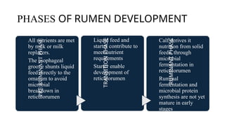 PHASES OF RUMEN DEVELOPMENT
PRE
RUMINANT
PHASE
All nutrients are met
by milk or milk
replacers.
The esophageal
groove shunts liquid
feed directly to the
omasum to avoid
microbial
breakdown in
reticulorumen
TRANSITION
PHASE
Liquid feed and
starter contribute to
meet nutrient
requirements
Starter enable
development of
reticulorumen
RUMINANT
PHASE
Calf derives it
nutrition from solid
feeds, through
microbial
fermentation in
reticulorumen
Ruminal
fermentation and
microbial protein
synthesis are not yet
mature in early
stages
 