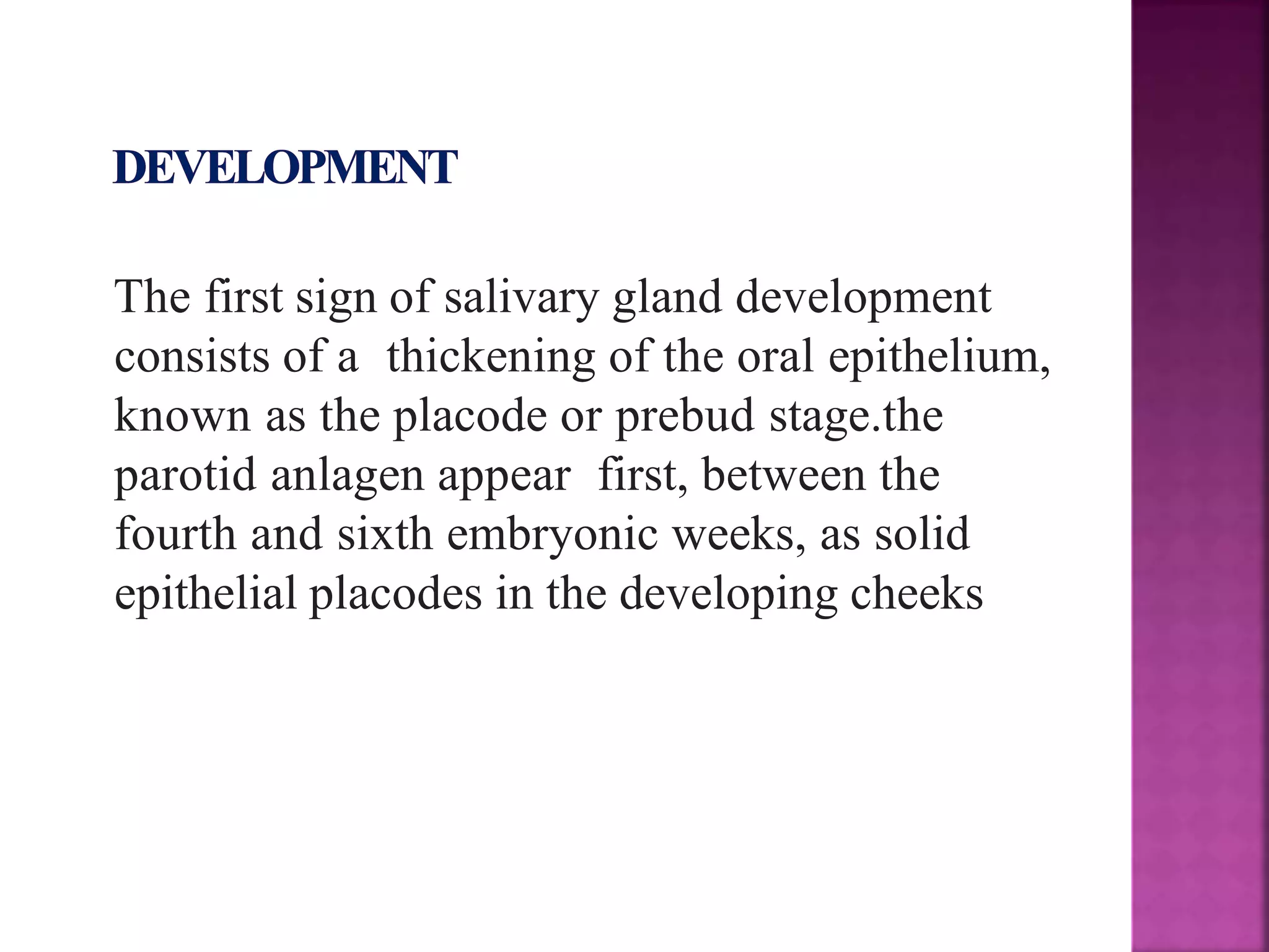 Development of salivary glands , saliva and its role in prosthodontics ...