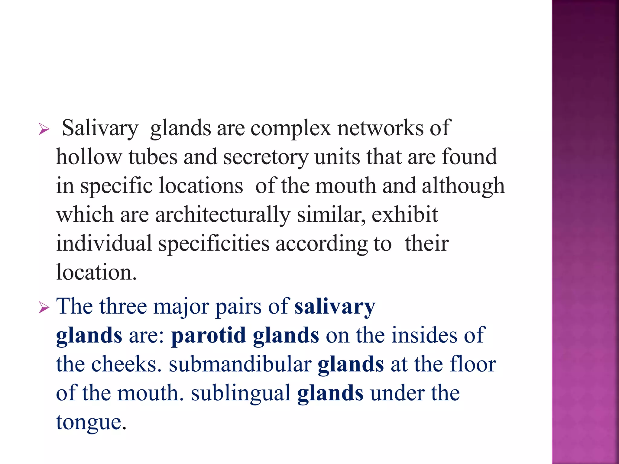 Development of salivary glands , saliva and its role in prosthodontics ...