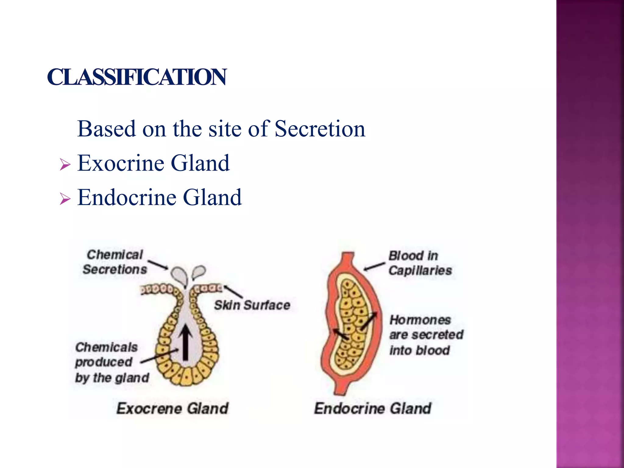 Development of salivary glands , saliva and its role in prosthodontics ...