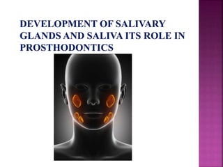 Development of salivary glands , saliva and its role in prosthodontics ...
