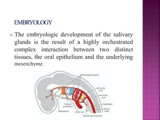 Development of salivary glands , saliva and its role in prosthodontics ...