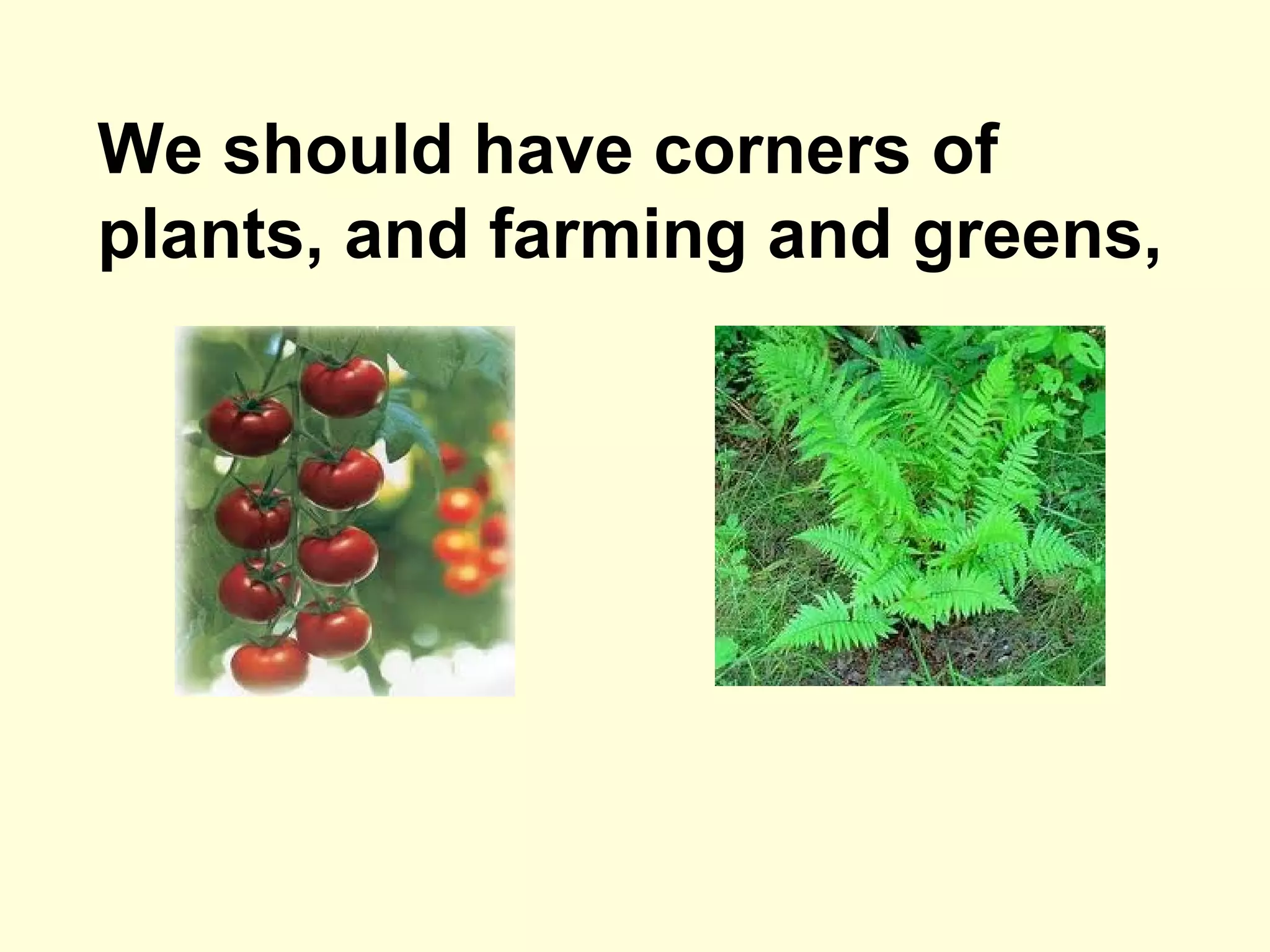 We should have corners of
plants, and farming and greens,
 