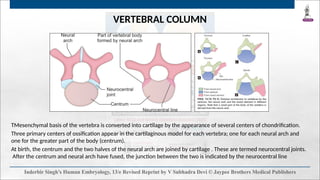 Development of skeletal and muscular system and skull bones.pptx