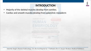 Development of skeletal and muscular system and skull bones.pptx