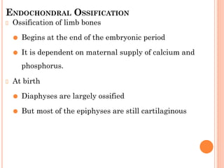 ENDOCHONDRAL OSSIFICATION
Ossification of limb bones
⚫ Begins at the end of the embryonic period
⚫ It is dependent on maternal supply of calcium and
phosphorus.
At birth
⚫ Diaphyses are largely ossified
⚫ But most of the epiphyses are still cartilaginous
 