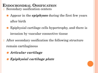 ENDOCHONDRAL OSSIFICATION
Secondary ossification centers
⚫ Appear in the epiphyses during the first few years
after birth
⚫ Epiphysial cartilage cells hypertrophy, and there is
invasion by vascular connective tissue
After secondary ossification the following structure
remain cartilaginous
⚫ Articular cartilage
⚫ Epiphysial cartilage plate
 