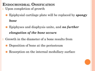 ENDOCHONDRAL OSSIFICATION
Upon completion of growth
⚫ Epiphysial cartilage plate will be replaced by spongy
bone
⚫ Epiphyses and diaphysis unite, and no further
elongation of the bone occurs
Growth in the diameter of a bone results from
⚫ Deposition of bone at the periosteum
⚫ Resorption on the internal medullary surface
 