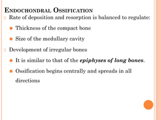 ENDOCHONDRAL OSSIFICATION
Rate of deposition and resorption is balanced to regulate:
⚫ Thickness of the compact bone
⚫ Size of the medullary cavity
Development of irregular bones
⚫ It is similar to that of the epiphyses of long bones.
⚫ Ossification begins centrally and spreads in all
directions
 