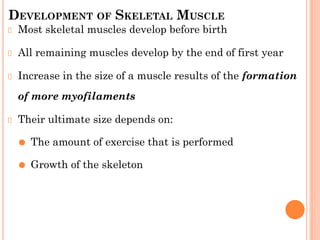 DEVELOPMENT OF SKELETAL MUSCLE
Most skeletal muscles develop before birth
All remaining muscles develop by the end of first year
Increase in the size of a muscle results of the formation
of more myofilaments
Their ultimate size depends on:
⚫ The amount of exercise that is performed
⚫ Growth of the skeleton
 