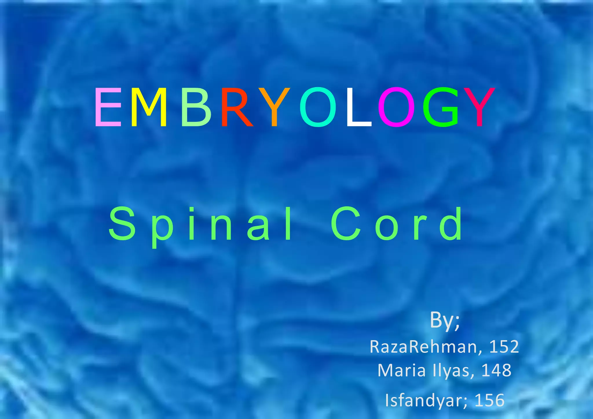 EMBRYOLOGY
By;
RazaRehman, 152
Maria Ilyas, 148
Isfandyar; 156
S p i n a l C o r d