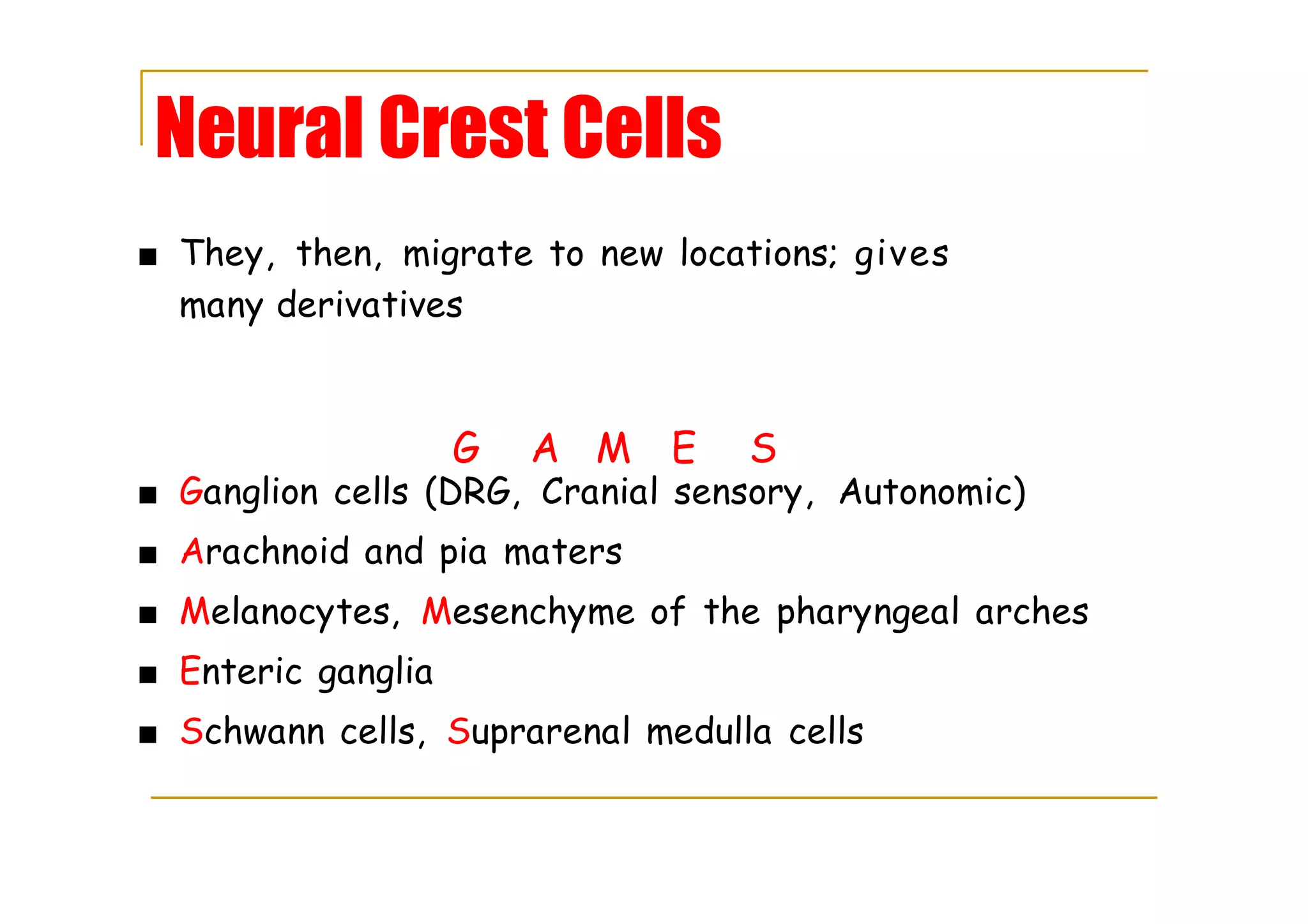Neural Crest Cells
■ They, then, migrate to new locations; gives
many derivatives
G A M E S
■ Ganglion cells (DRG, Cranial sensory, Autonomic)
■ Arachnoid and pia maters
■ Melanocytes, Mesenchyme of the pharyngeal arches
■ Enteric ganglia
■ Schwann cells, Suprarenal medulla cells