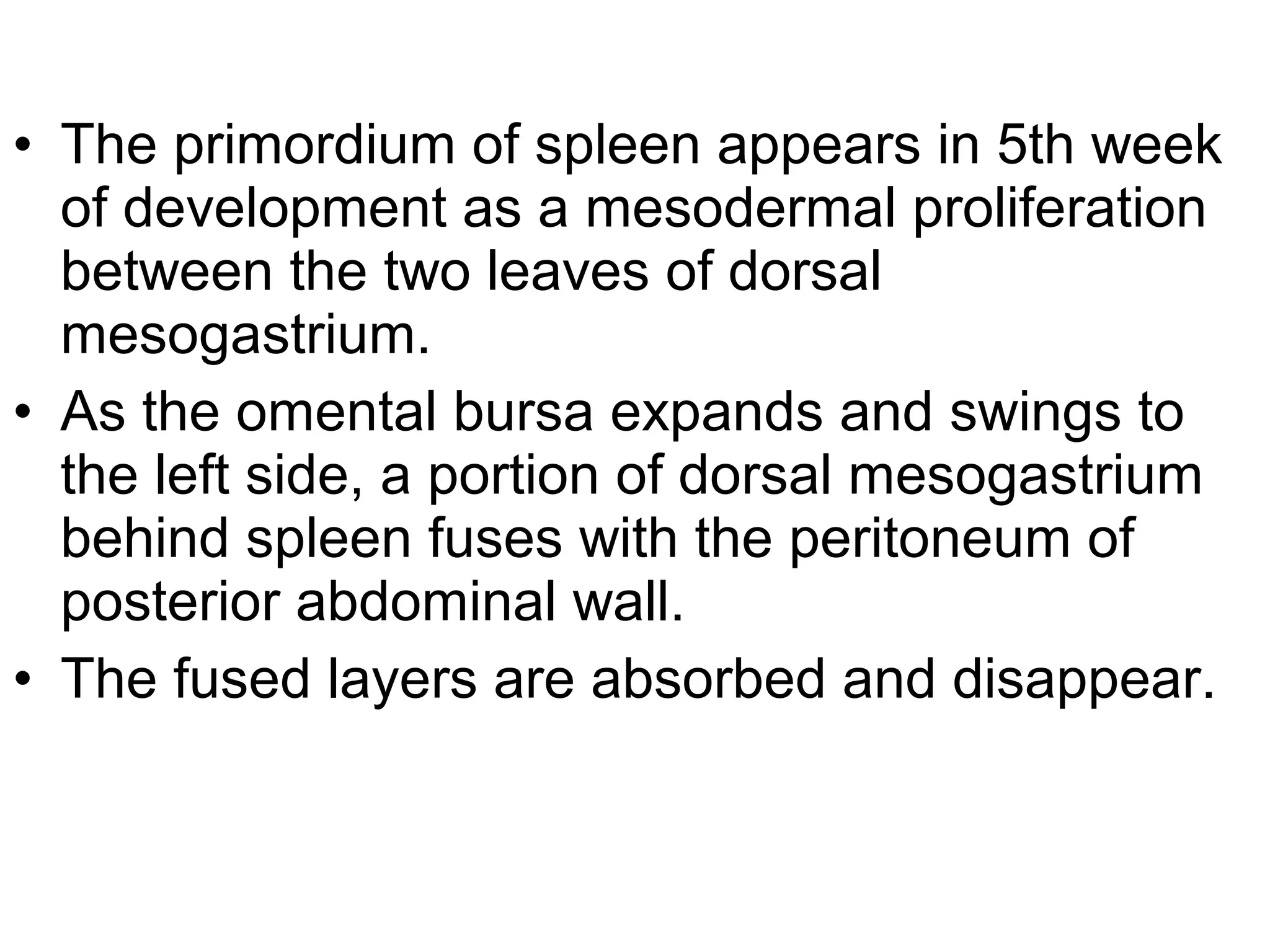• The primordium of spleen appears in 5th week
of development as a mesodermal proliferation
between the two leaves of dorsal
mesogastrium.
• As the omental bursa expands and swings to
the left side, a portion of dorsal mesogastrium
behind spleen fuses with the peritoneum of
posterior abdominal wall.
• The fused layers are absorbed and disappear.
 