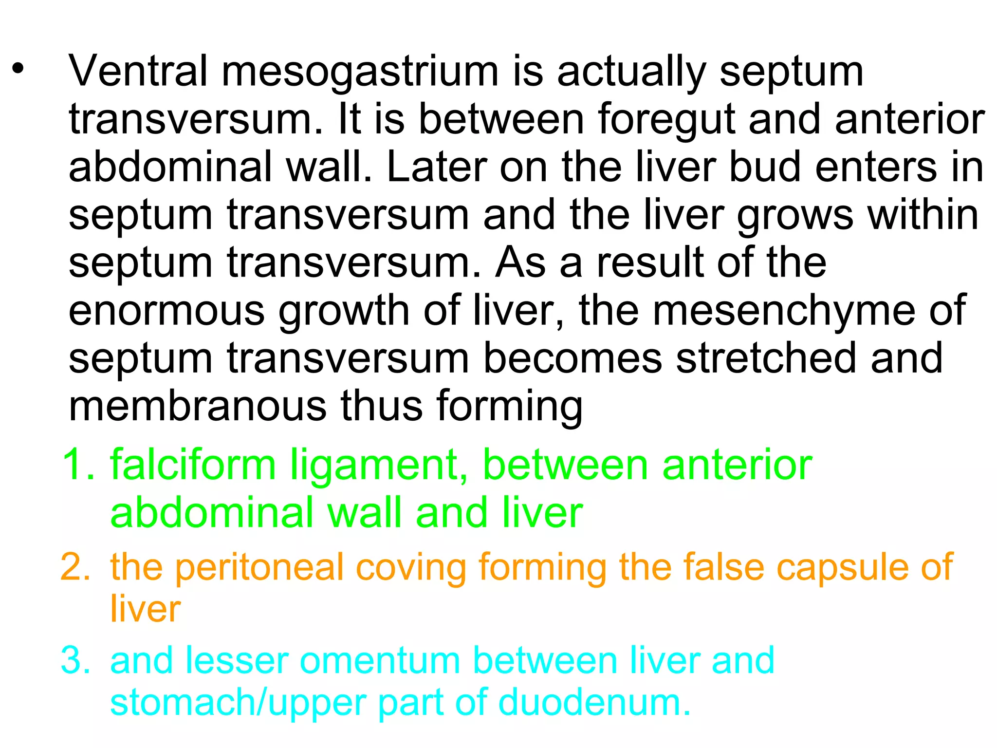 • Ventral mesogastrium is actually septum
transversum. It is between foregut and anterior
abdominal wall. Later on the liver bud enters in
septum transversum and the liver grows within
septum transversum. As a result of the
enormous growth of liver, the mesenchyme of
septum transversum becomes stretched and
membranous thus forming
1. falciform ligament, between anterior
abdominal wall and liver
2. the peritoneal coving forming the false capsule of
liver
3. and lesser omentum between liver and
stomach/upper part of duodenum.
 