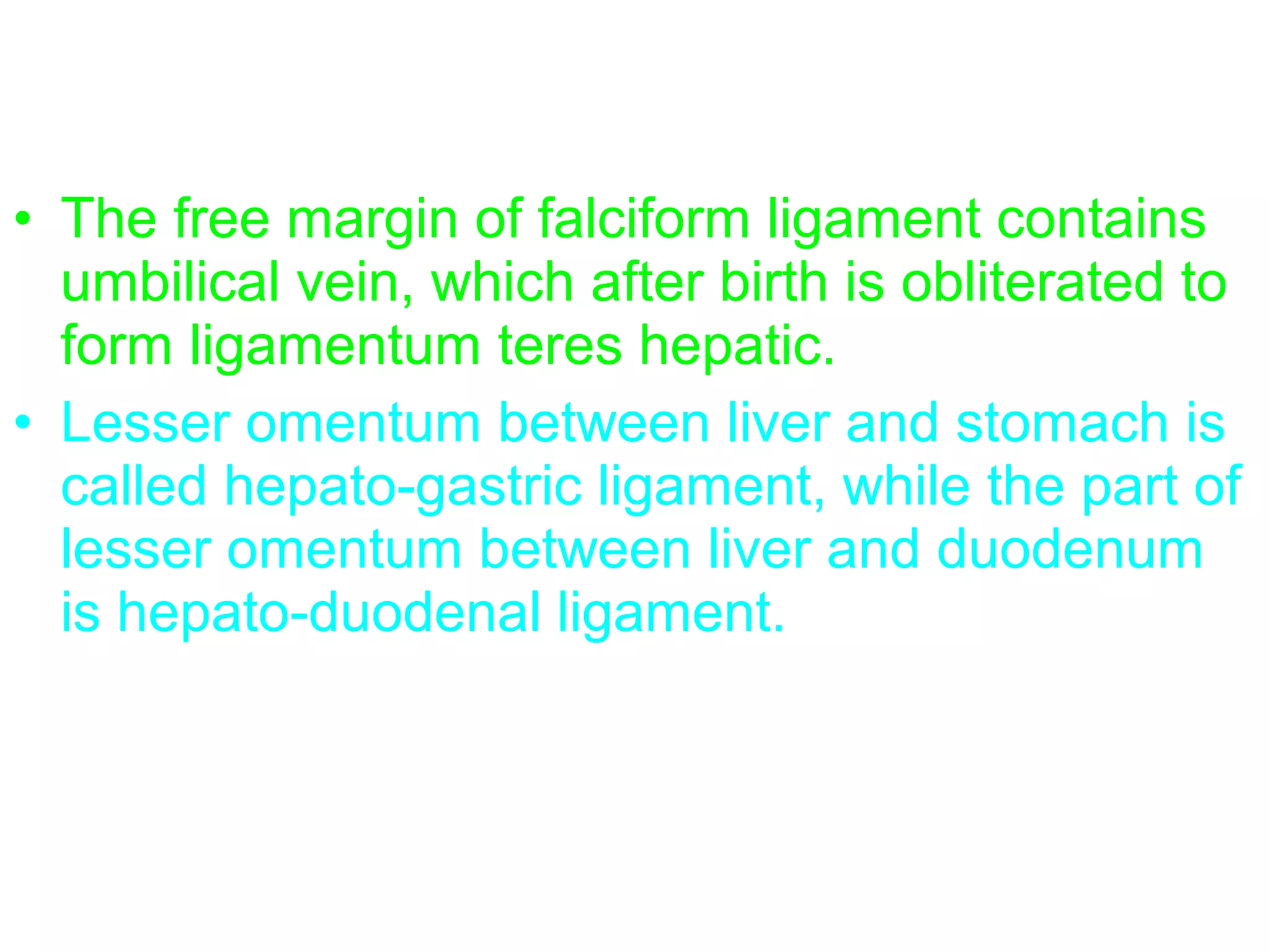 • The free margin of falciform ligament contains
umbilical vein, which after birth is obliterated to
form ligamentum teres hepatic.
• Lesser omentum between liver and stomach is
called hepato-gastric ligament, while the part of
lesser omentum between liver and duodenum
is hepato-duodenal ligament.
 
