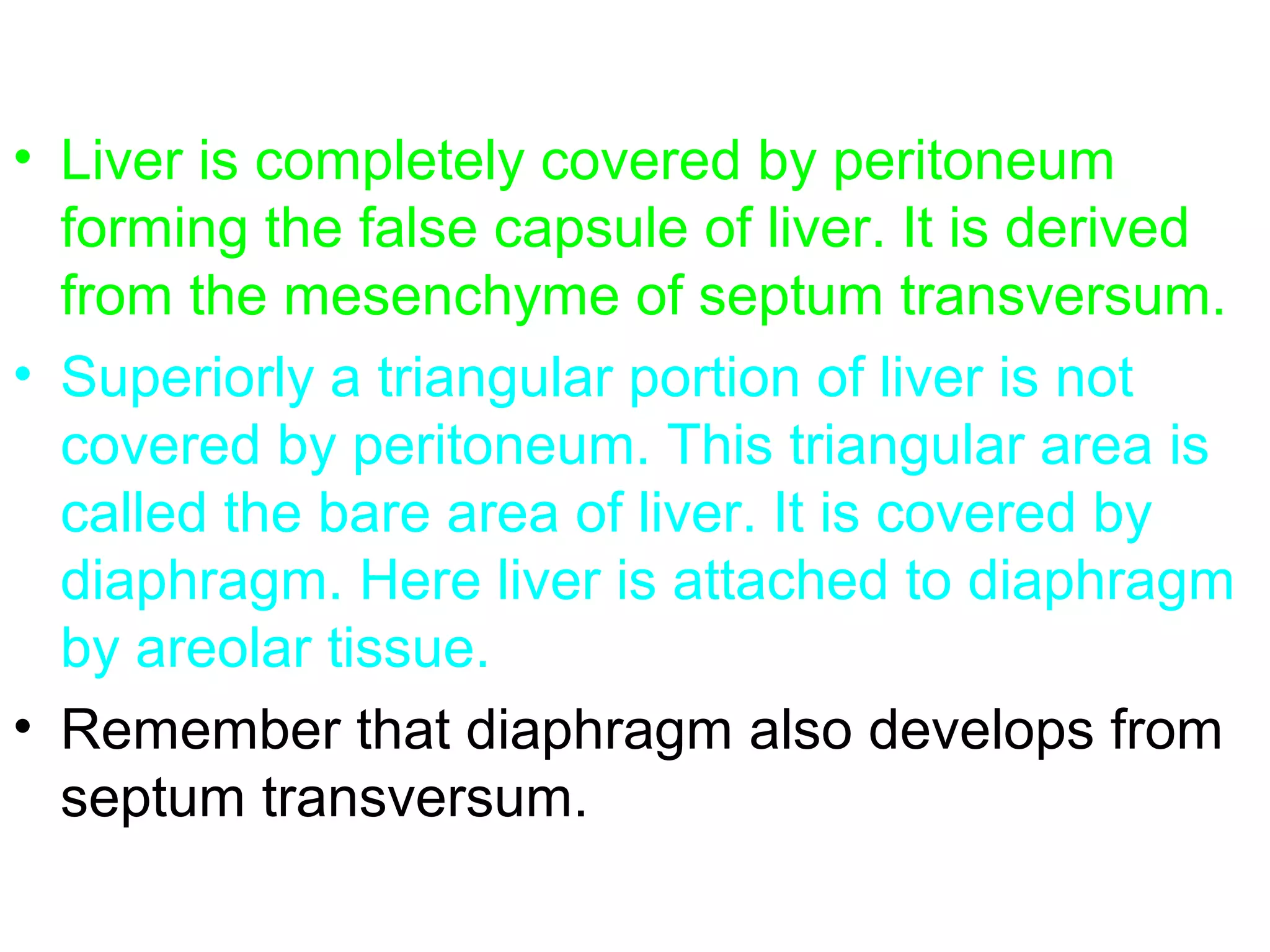 • Liver is completely covered by peritoneum
forming the false capsule of liver. It is derived
from the mesenchyme of septum transversum.
• Superiorly a triangular portion of liver is not
covered by peritoneum. This triangular area is
called the bare area of liver. It is covered by
diaphragm. Here liver is attached to diaphragm
by areolar tissue.
• Remember that diaphragm also develops from
septum transversum.
 