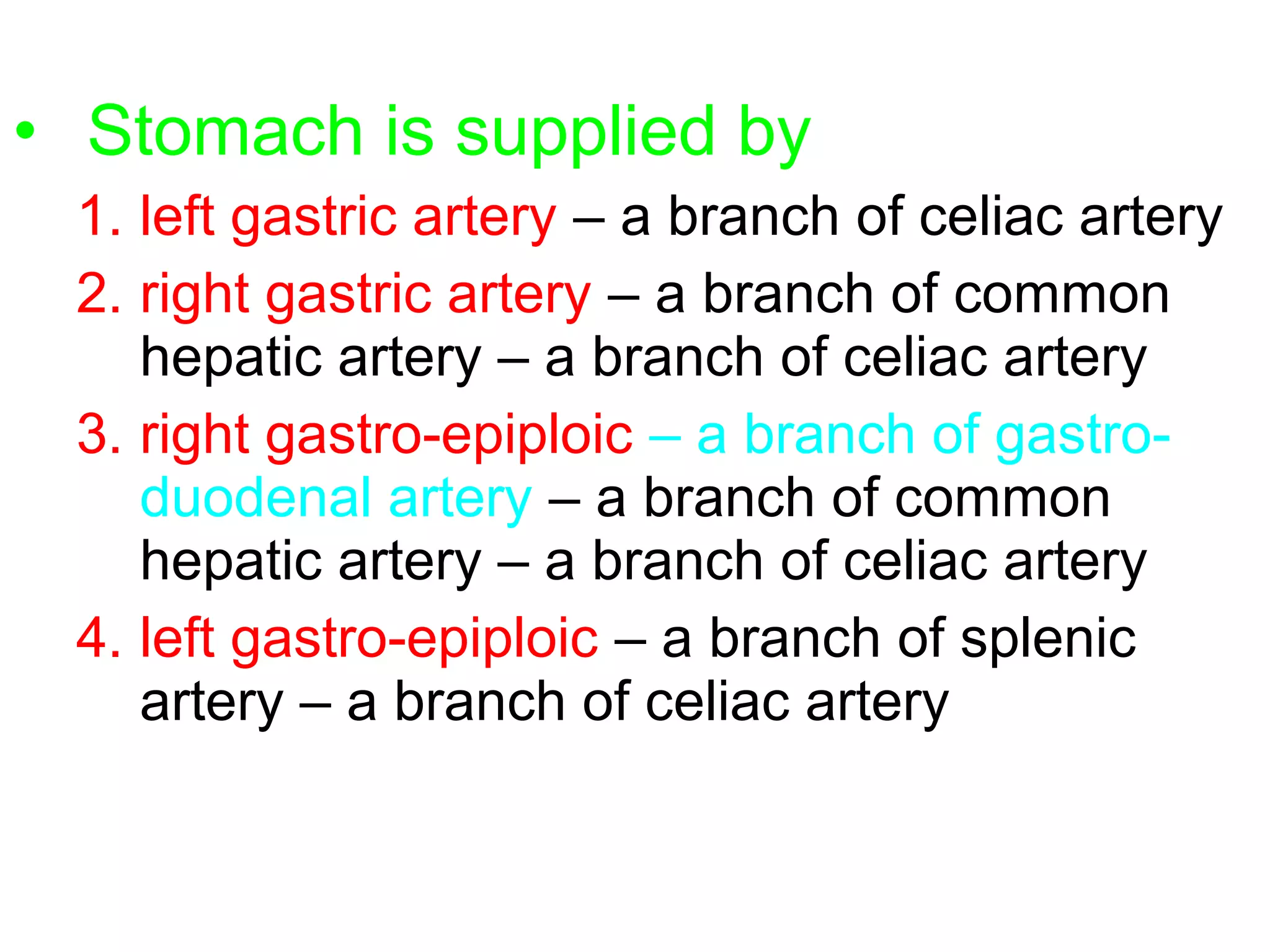 • Stomach is supplied by
1. left gastric artery – a branch of celiac artery
2. right gastric artery – a branch of common
hepatic artery – a branch of celiac artery
3. right gastro-epiploic – a branch of gastro-
duodenal artery – a branch of common
hepatic artery – a branch of celiac artery
4. left gastro-epiploic – a branch of splenic
artery – a branch of celiac artery
 