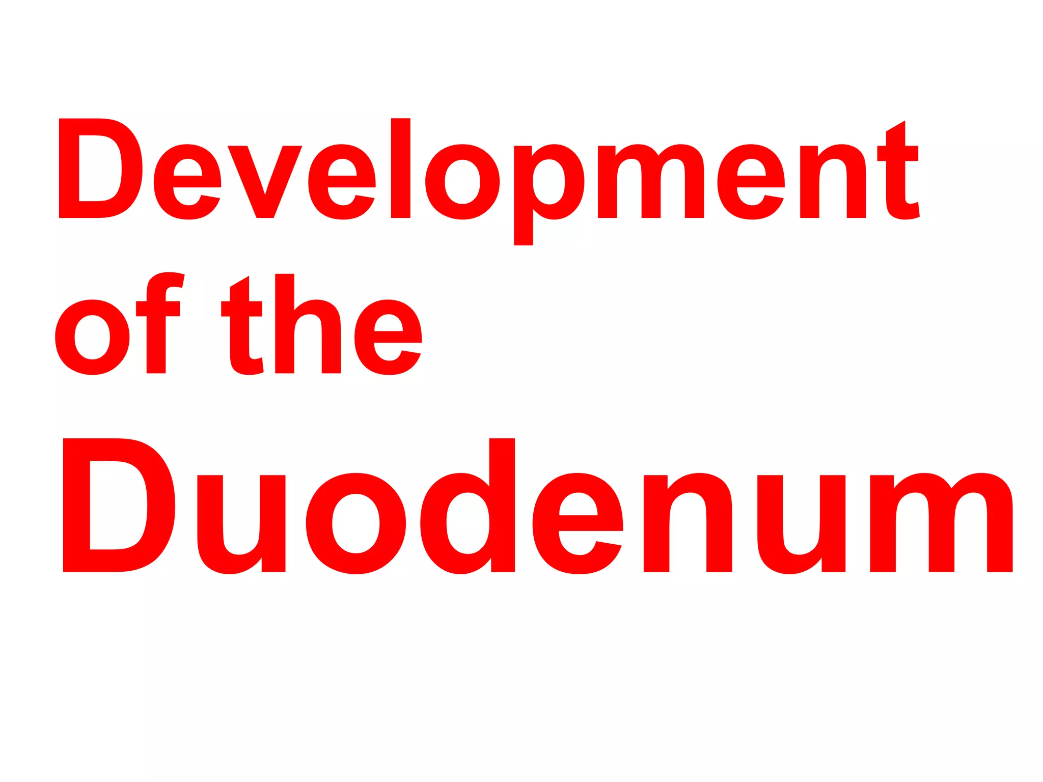 Development
of the
Duodenum
 