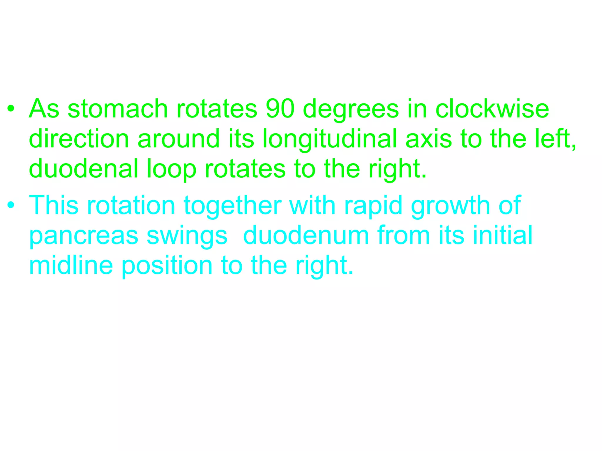 • As stomach rotates 90 degrees in clockwise
direction around its longitudinal axis to the left,
duodenal loop rotates to the right.
• This rotation together with rapid growth of
pancreas swings duodenum from its initial
midline position to the right.
 
