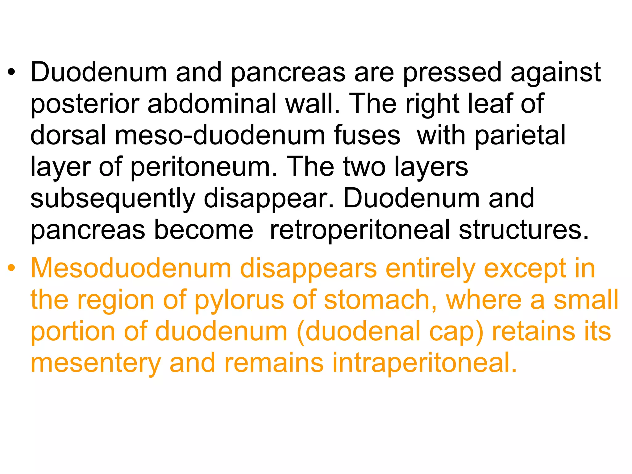 • Duodenum and pancreas are pressed against
posterior abdominal wall. The right leaf of
dorsal meso-duodenum fuses with parietal
layer of peritoneum. The two layers
subsequently disappear. Duodenum and
pancreas become retroperitoneal structures.
• Mesoduodenum disappears entirely except in
the region of pylorus of stomach, where a small
portion of duodenum (duodenal cap) retains its
mesentery and remains intraperitoneal.
 