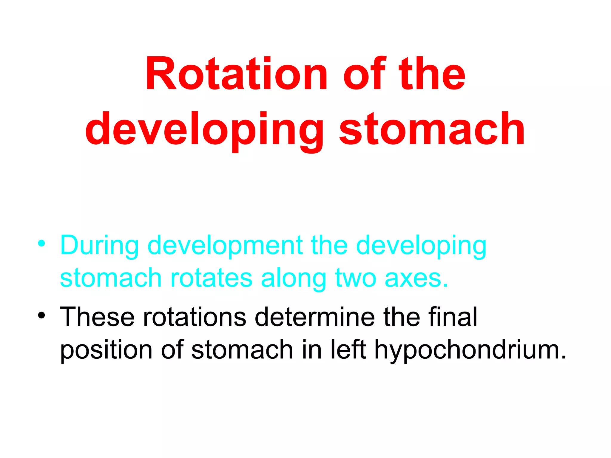 Rotation of the
developing stomach
• During development the developing
stomach rotates along two axes.
• These rotations determine the final
position of stomach in left hypochondrium.
 