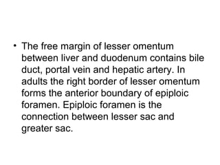 • The free margin of lesser omentum
between liver and duodenum contains bile
duct, portal vein and hepatic artery. In
adults the right border of lesser omentum
forms the anterior boundary of epiploic
foramen. Epiploic foramen is the
connection between lesser sac and
greater sac.
 