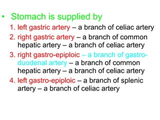 • Stomach is supplied by
1. left gastric artery – a branch of celiac artery
2. right gastric artery – a branch of common
hepatic artery – a branch of celiac artery
3. right gastro-epiploic – a branch of gastro-
duodenal artery – a branch of common
hepatic artery – a branch of celiac artery
4. left gastro-epiploic – a branch of splenic
artery – a branch of celiac artery
 