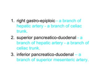 1. right gastro-epiploic - a branch of
hepatic artery - a branch of celiac
trunk.
2. superior pancreatico-duodenal - a
branch of hepatic artery - a branch of
celiac trunk.
3. inferior pancreatico-duodenal – a
branch of superior mesenteric artery.
 