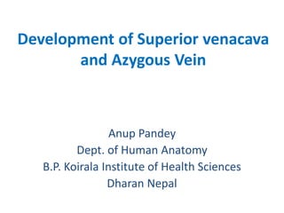 Development of Superior venacava
and Azygous Vein
Anup Pandey
Dept. of Human Anatomy
B.P. Koirala Institute of Health Sciences
Dharan Nepal
 