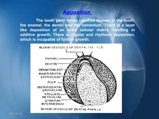 Apposition
               The tooth germ forms calcified tissues of the tooth,
      the enamel, the dentin and the cementum. There is a layer
      like deposition of an extra cellular matrix resulting in
      additive growth. There is regular and rhythmic deposition,
      which is incapable of further growth.




09/24/12
 