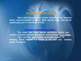 FORMATION OF ROOT
              Root start forming after dentin formation has reached
     future cementoenamel junction. Both dental organ and dental
     papilla play part in formation of root.


                     Hertwig's epithelial root sheath :
     *        The outer and inner dental epithelium meets one
     another at future cervical area and is called cervical loop.
     *        This cervical loop forms epithelial sheath of
     Hertwig, which moulds the shape of the root and initiates
     dentin formation.




09/24/12
 