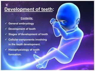 Development of teeth:
Contents:
 General embryology
 Development of tooth
 Stages of development of tooth
 Cellular components involving
in the tooth development.
 Histophysiology of tooth
formation.
 