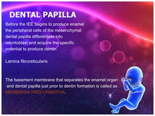 Membrane Preformative Development of teeth.pptx